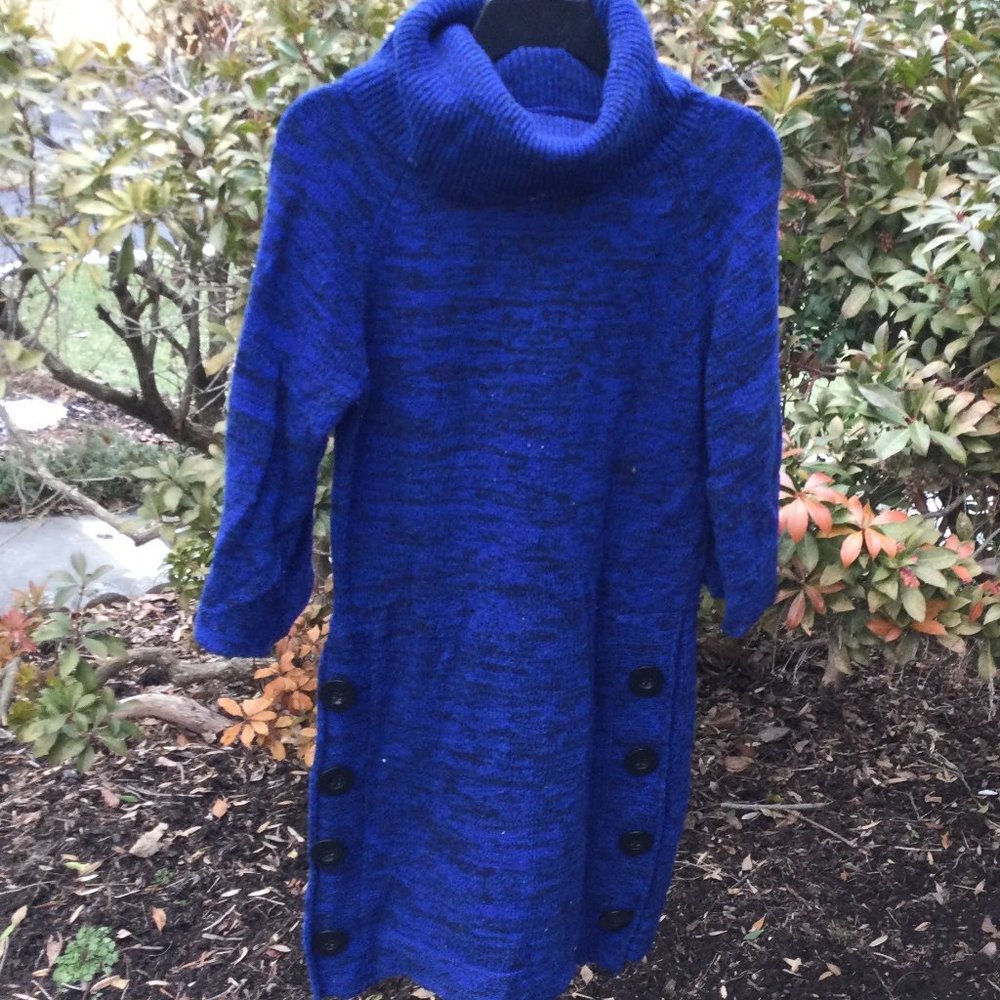 Alyn Paige Blue-Black Cowl Neck Long Sweater Tunic